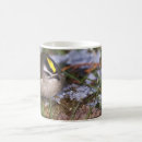 Search for golden crown mugs Cute