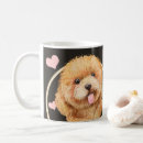 Recherche de poodle tasses Chiot