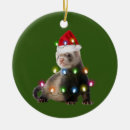 Search for ferret ornaments Santa