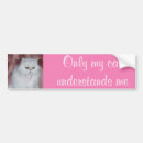 Recherche de chat persan Animal familier