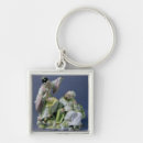 Search for period keychains School