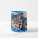 Search for kitten playing mugs Cat