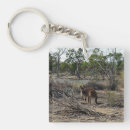 Search for kangaroo keychains Wildlife