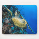 Recherche de mer rouge tapis souris Plage