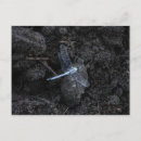 Recherche de dragon noir cartes postales Foncé