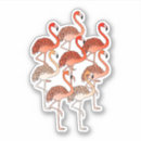 Search for coral peach stickers Pink