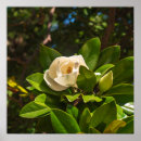 Search for corfu posters Nature