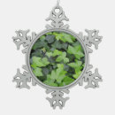 Recherche de ivy ornements Nature