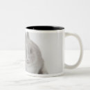 Search for lop mugs Nature