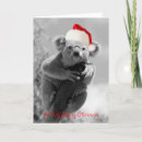 Search for australia koala christmas cards Cute