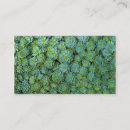 Search for plant nursery business cards Succulent