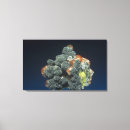Search for calcium art Calcite