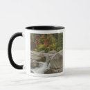Search for forest waterfall mugs River