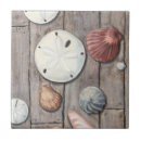Search for sand dollar tiles Sea