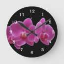 Recherche de orchids horloges Nature