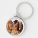 Search for icelandic horses keychains Equus caballus