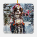 Search for brittany spaniel ornaments Pet