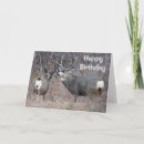 Recherche de biche vœux cartes Pour tous