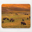 Search for grazing mousepads Nature