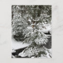 Search for fever postcards Winter