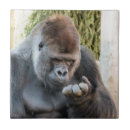 Recherche de humoristique carreaux Mignon