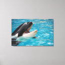 Search for killer whale art Black and white