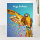 Search for macaws cards Colourful