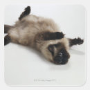 Search for colourful people stickers Fun