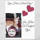 Search for cat flyers Veterinary