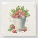 Search for food coasters Strawberries