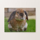 Recherche de lapins puzzles Amoureux des animaux
