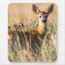 Search for blue grass mousepads Nature