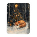 Recherche de renard magnets Recor