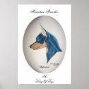 Search for miniature pinscher art Pets