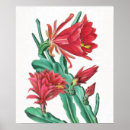 Search for vintage cactus art Red