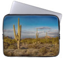 Recherche de saguaro électronique Landscape