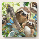 Search for sloth coasters Funny
