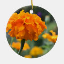 Search for nature ornaments Floral