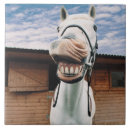 Recherche de chevaux carreaux Nature