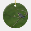 Search for easter ornaments Green