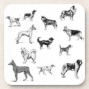 Search for breeding coasters Great dane
