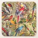 Search for tropical coasters Nature