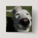 Search for santa buttons White