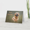 Recherche de golden retriever anniversaire cartes Récupérateur