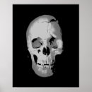 Search for black and white skull art Skeleton