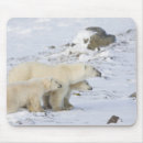 Search for ursus electronics Canada