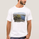 Search for tide tshirts David r frazier