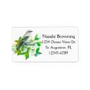 Search for blossoms labels Watercolor flowers