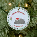 Search for hippopotamus ornaments Animal