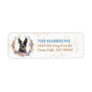 Search for cattle dog return address labels Animal